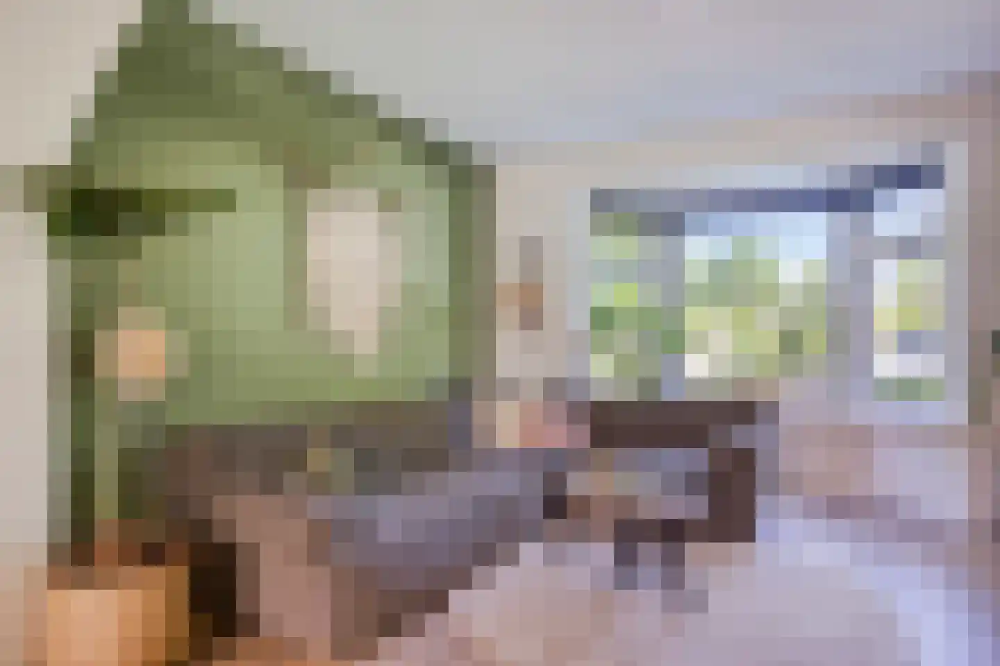 Achter de Hoven 11 Deventer thumbnail 11