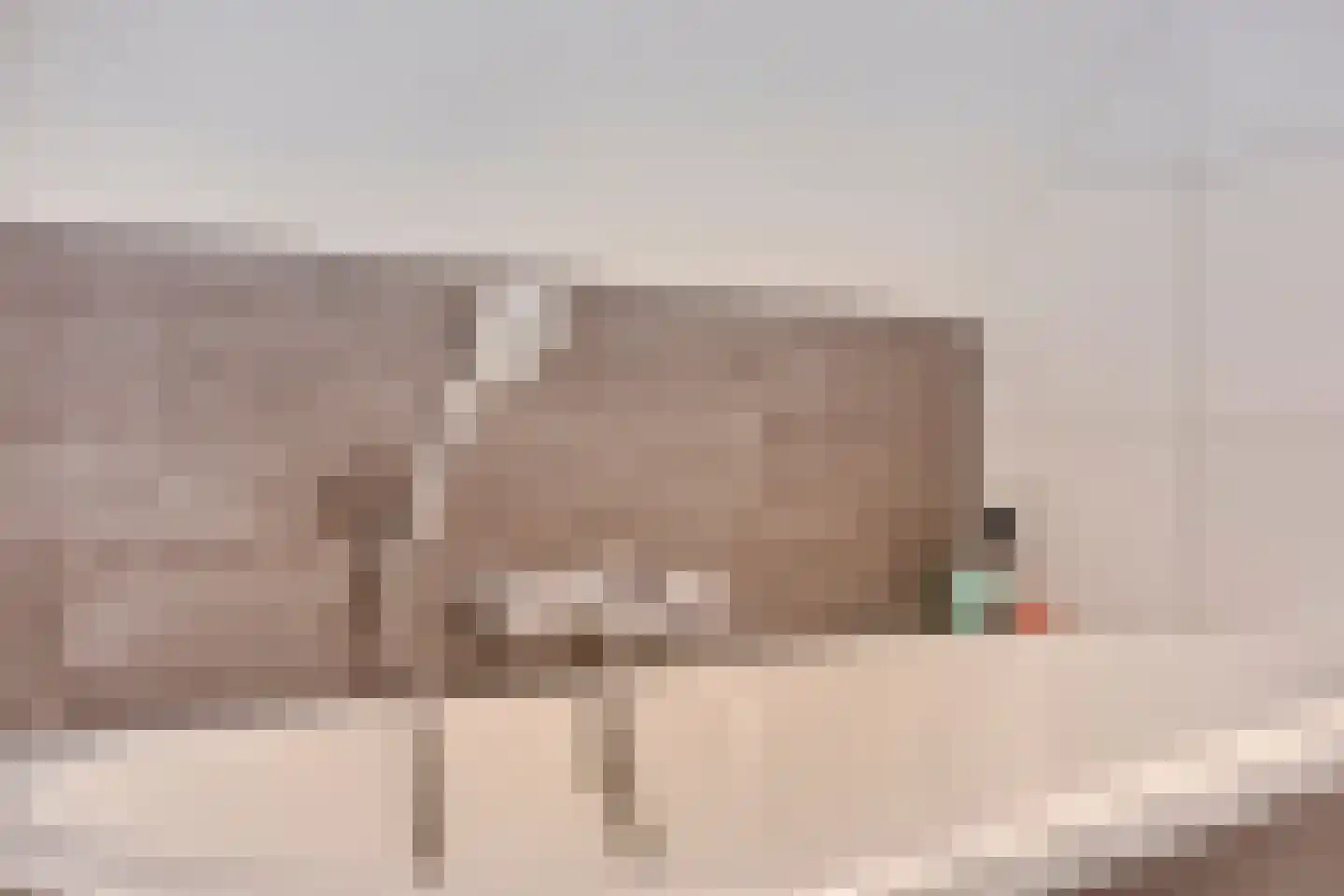 Achter de Hoven 11 Deventer thumbnail 26