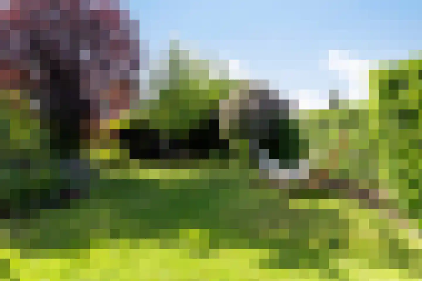 Achter de Hoven 11 Deventer thumbnail 40