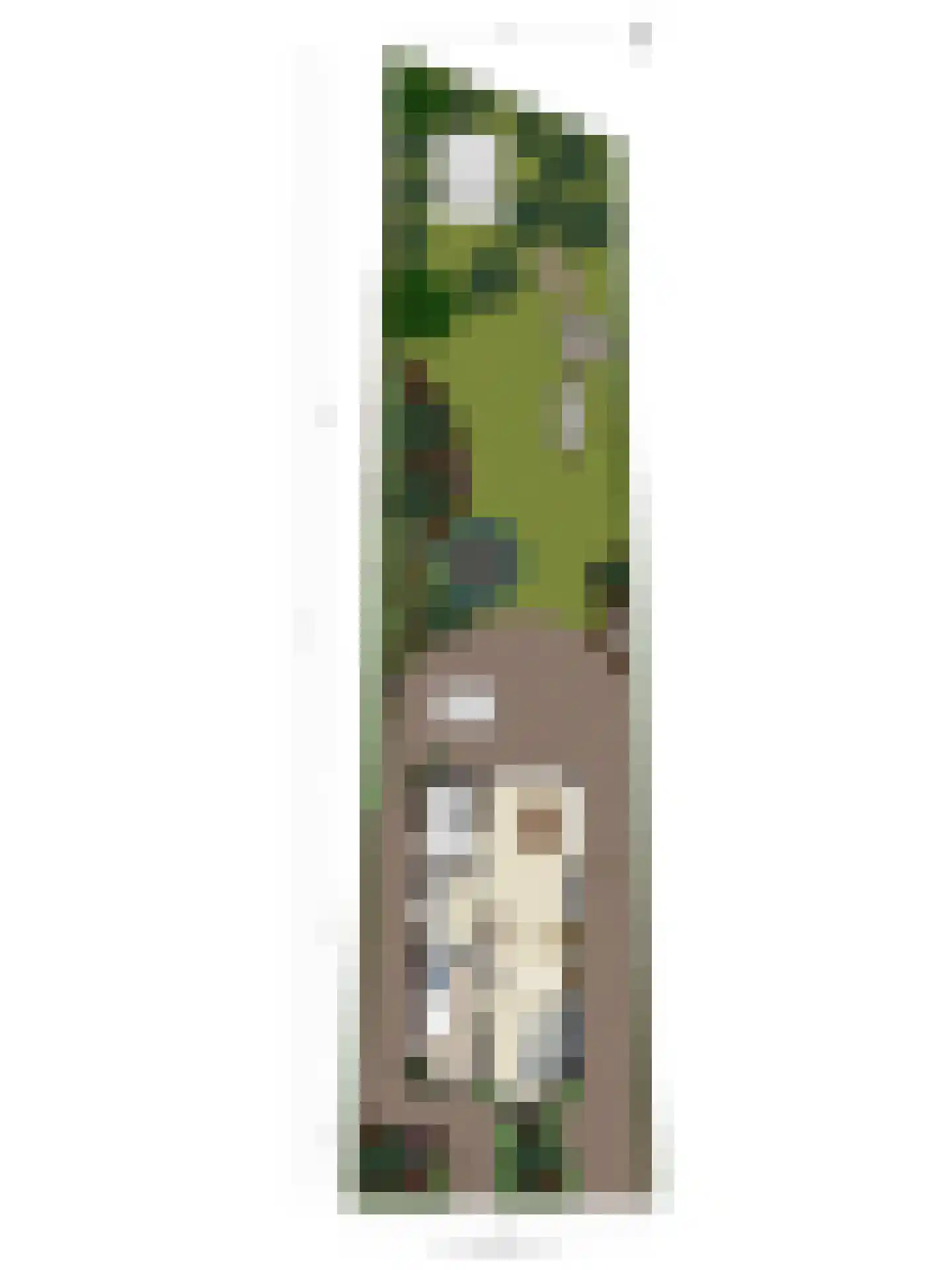 Achter de Hoven 11 Deventer thumbnail 55