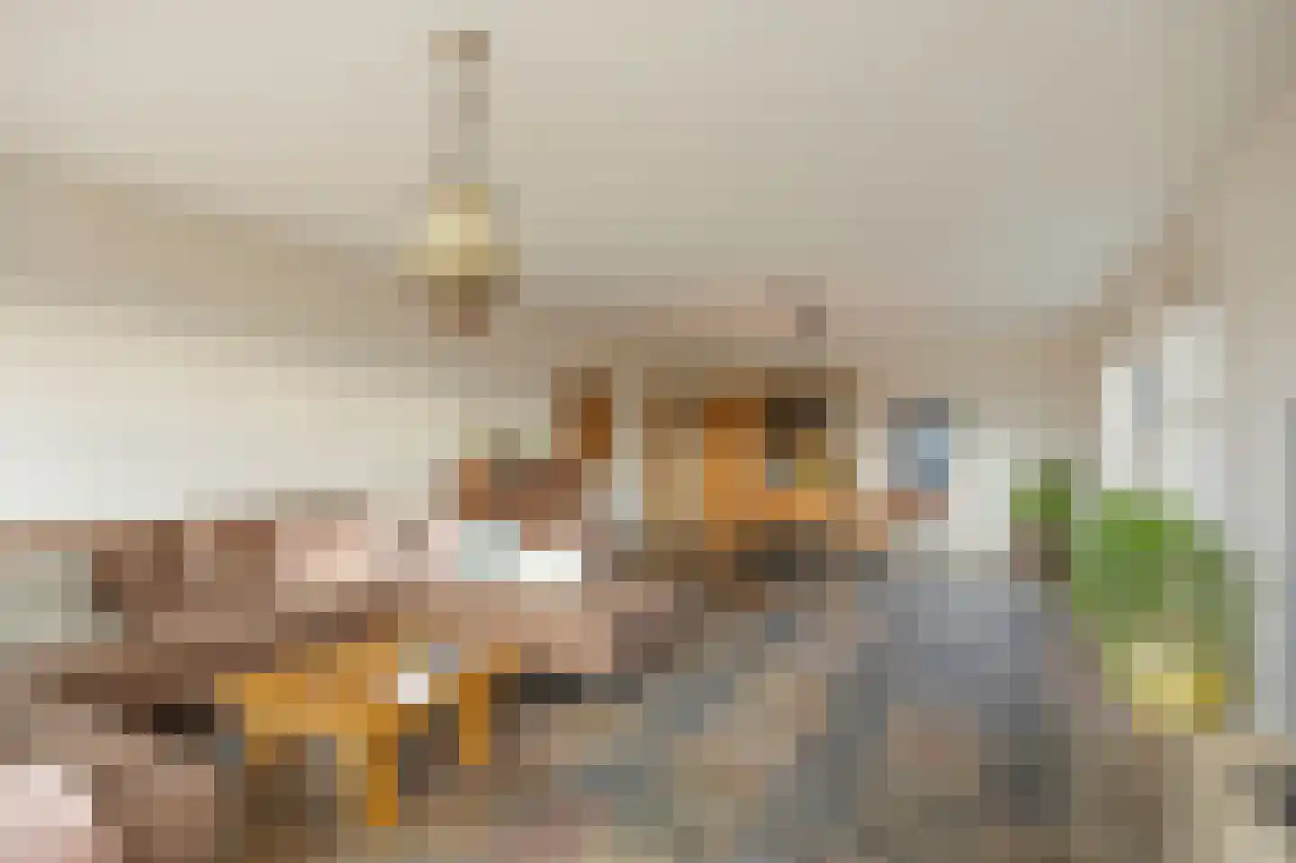 Achter de Hoven 11 Montfort thumbnail 10