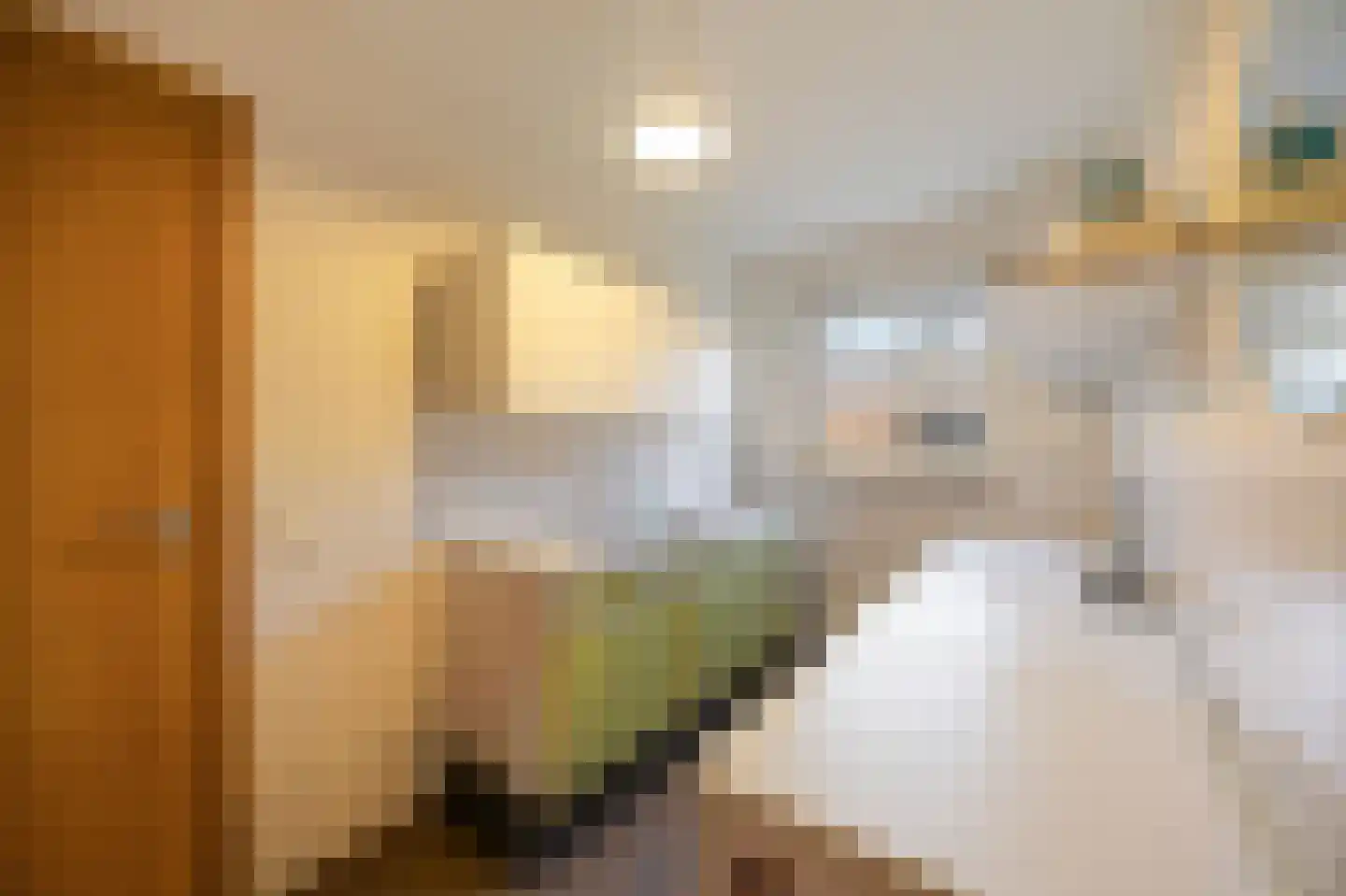 Achter de Hoven 11 Montfort thumbnail 14