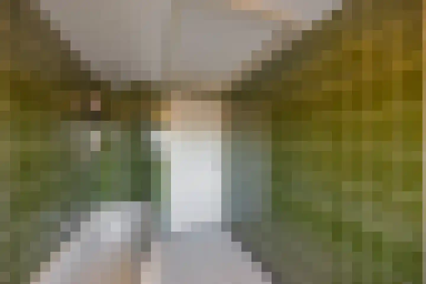 Achter de Hoven 11 Montfort thumbnail 65