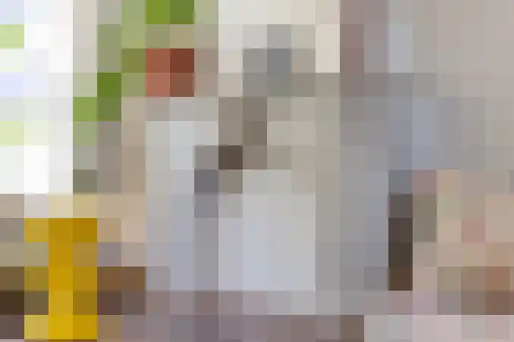 Achter de Hoven 121 Leeuwarden thumbnail 13