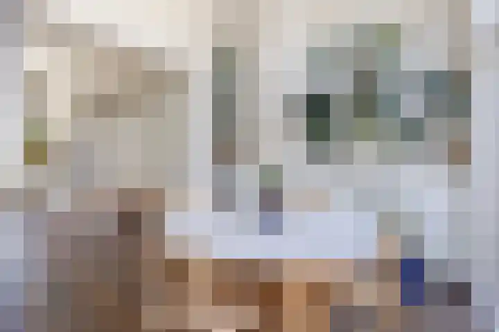Achter de Hoven 121 Leeuwarden thumbnail 18