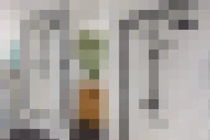 Achter de Hoven 121 Leeuwarden thumbnail 37