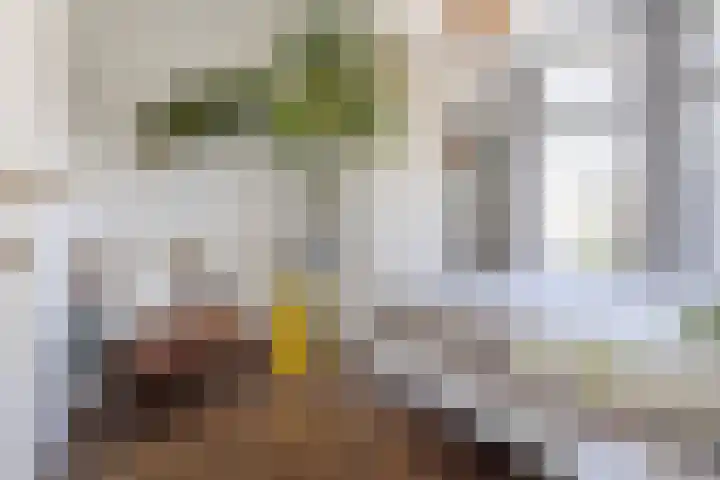 Achter de Hoven 121 Leeuwarden thumbnail 38