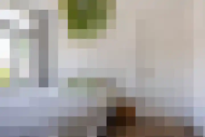 Achter de Hoven 121 Leeuwarden thumbnail 39