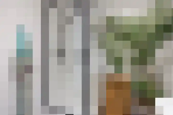 Achter de Hoven 121 Leeuwarden thumbnail 4