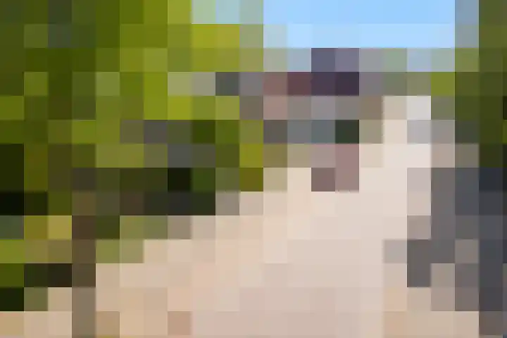 Achter de Hoven 121 Leeuwarden thumbnail 41