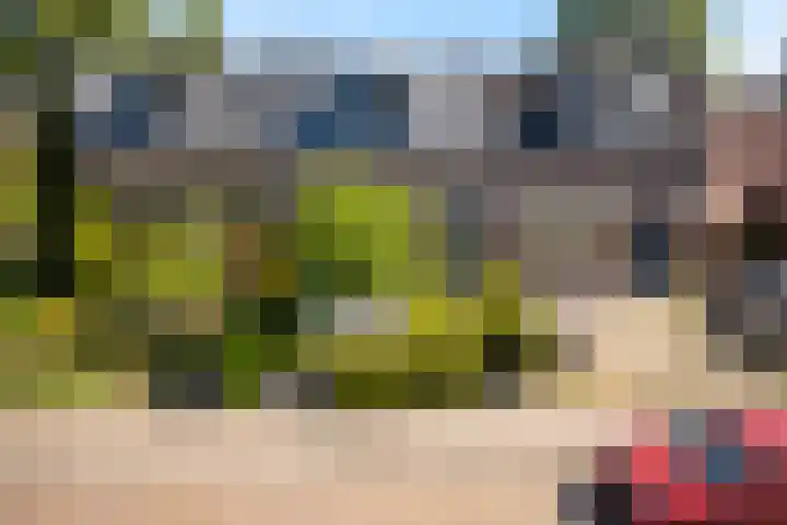 Achter de Hoven 121 Leeuwarden thumbnail 42