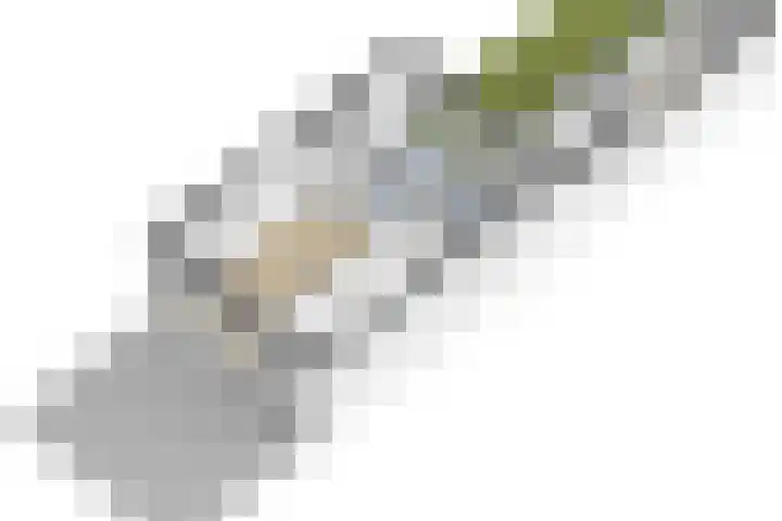 Achter de Hoven 121 Leeuwarden thumbnail 46