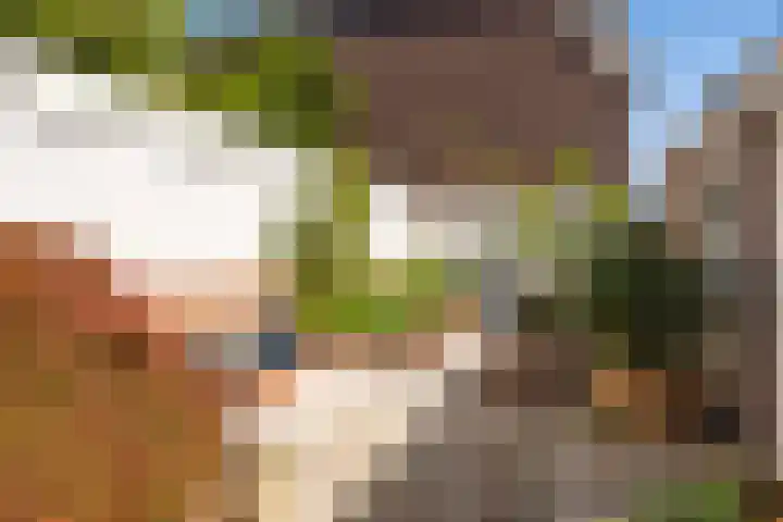 Achter de Hoven 121 Leeuwarden thumbnail 6