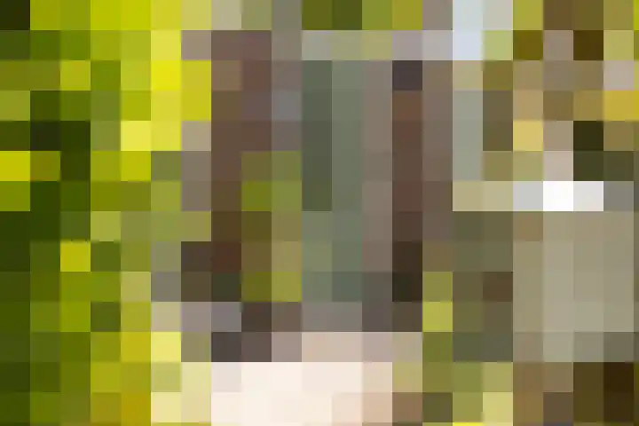 Achter de Hoven 121 Leeuwarden thumbnail 7