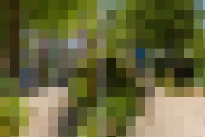 Achter de Hoven 121 Leeuwarden thumbnail 8