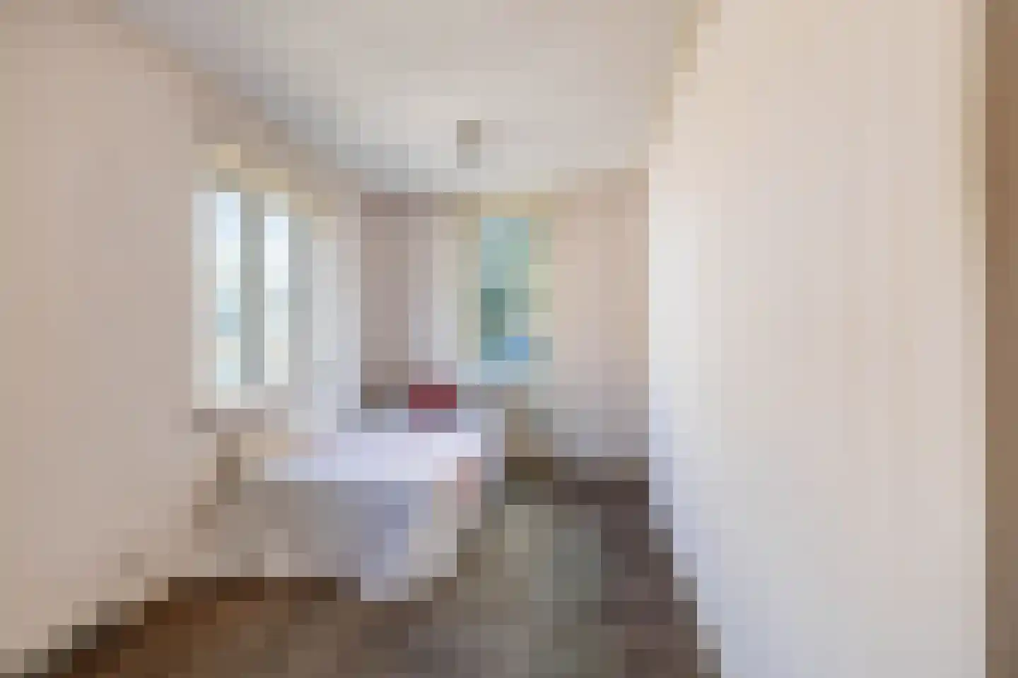 Achter de Hoven 125 Leeuwarden thumbnail 31