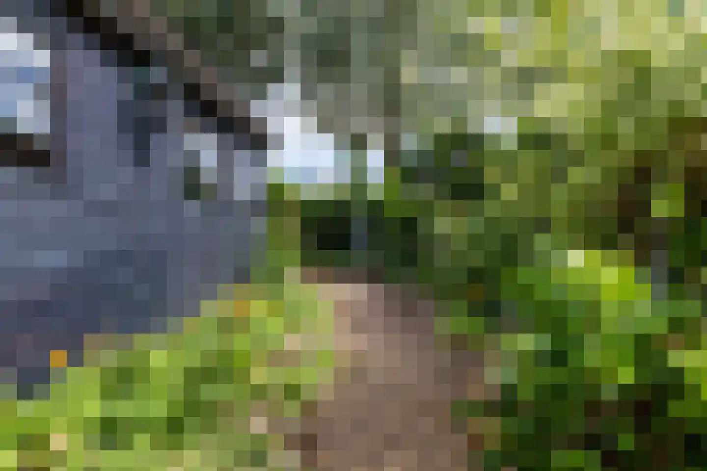 Achter de Hoven 125 Leeuwarden thumbnail 47