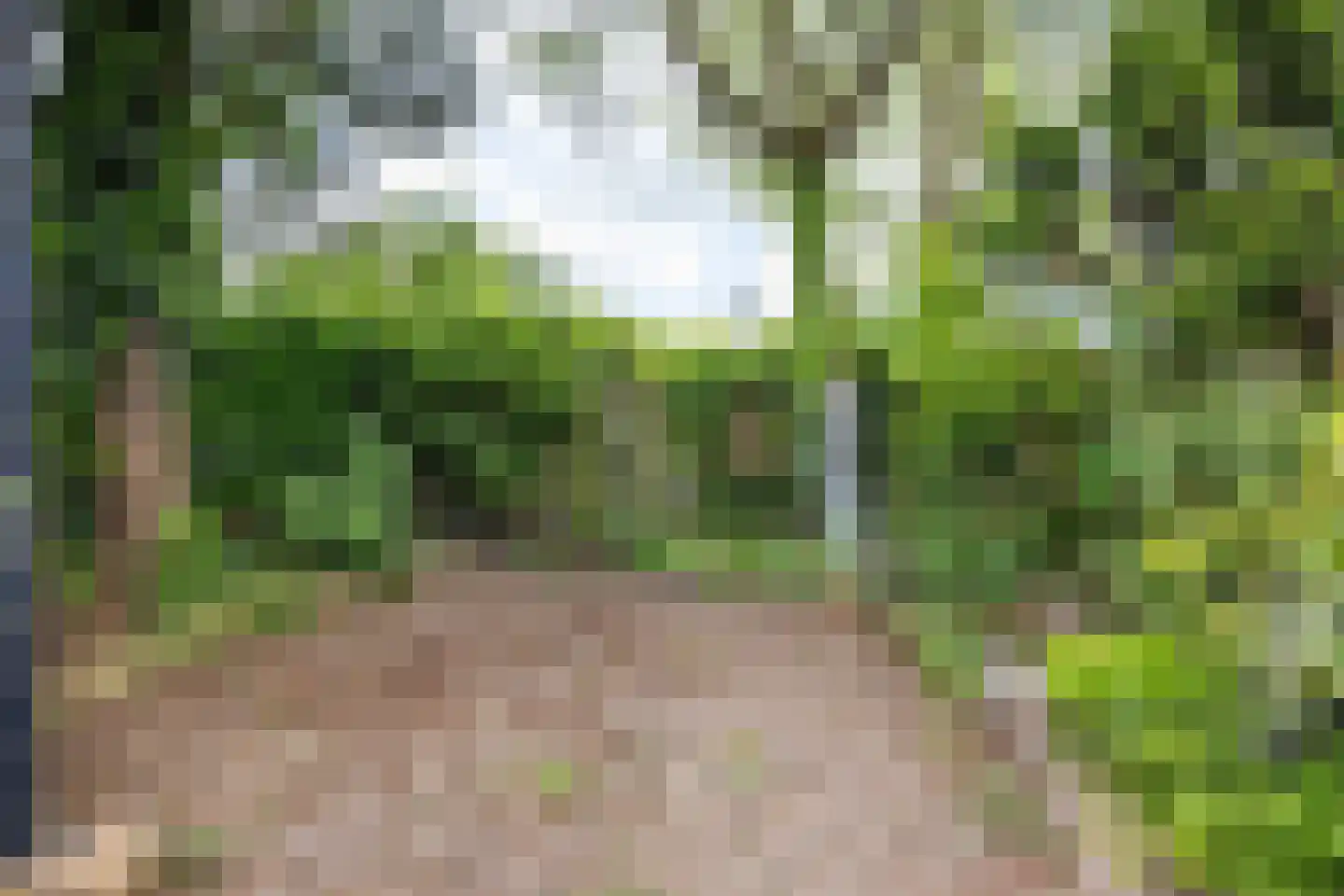 Achter de Hoven 125 Leeuwarden thumbnail 48