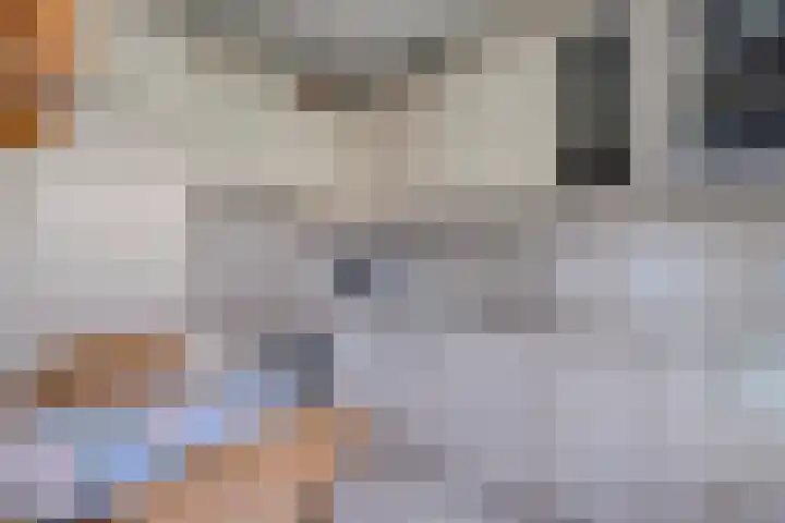 Achter de Hoven 13 Dwingeloo thumbnail 10