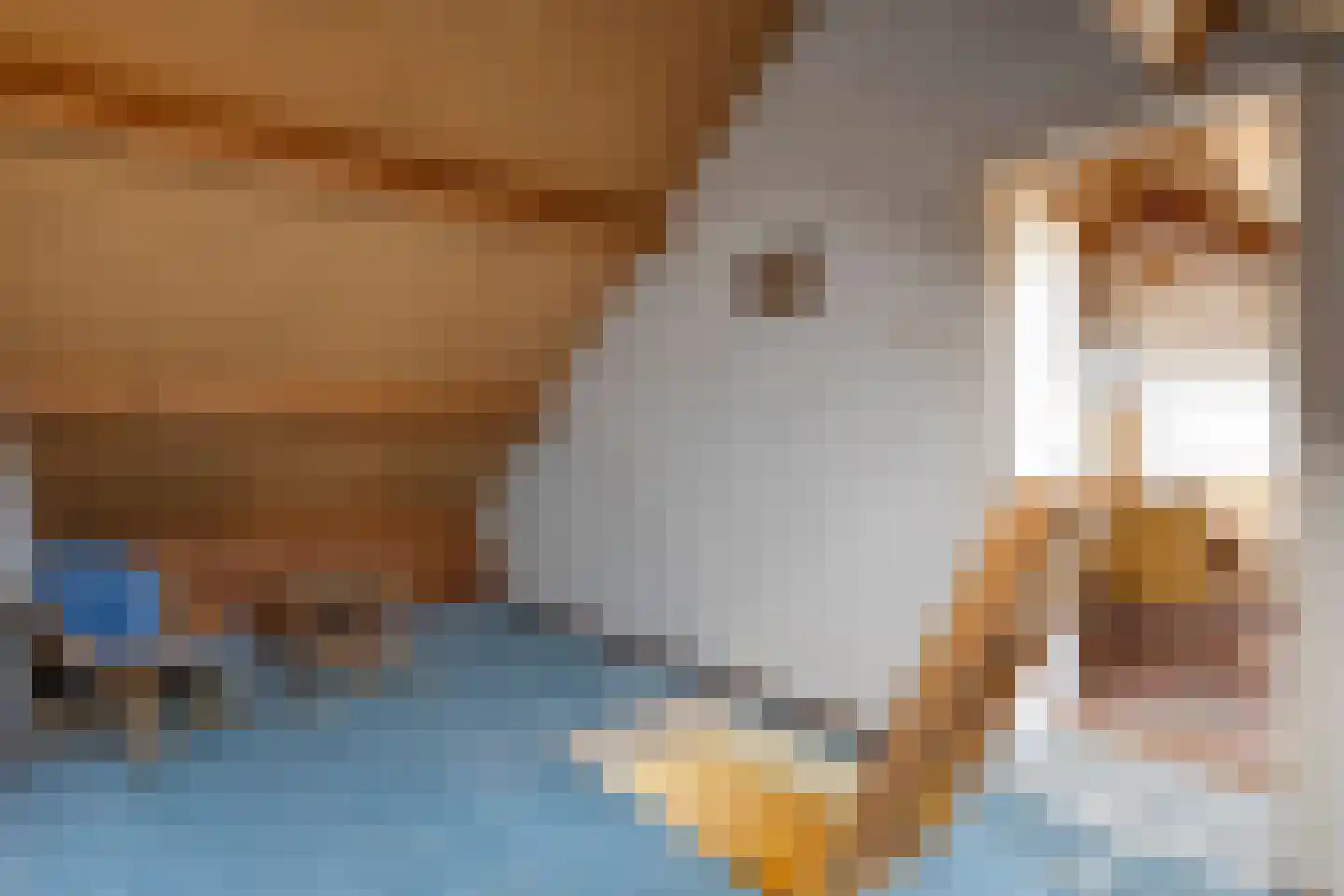 Achter de Hoven 13 Dwingeloo thumbnail 27