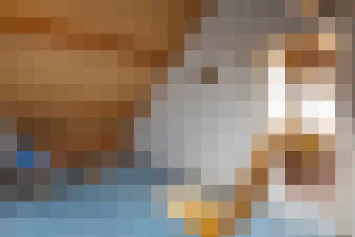Achter de Hoven 13 Dwingeloo thumbnail 27