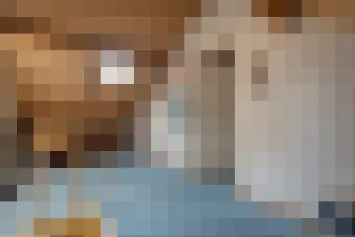 Achter de Hoven 13 Dwingeloo thumbnail 28