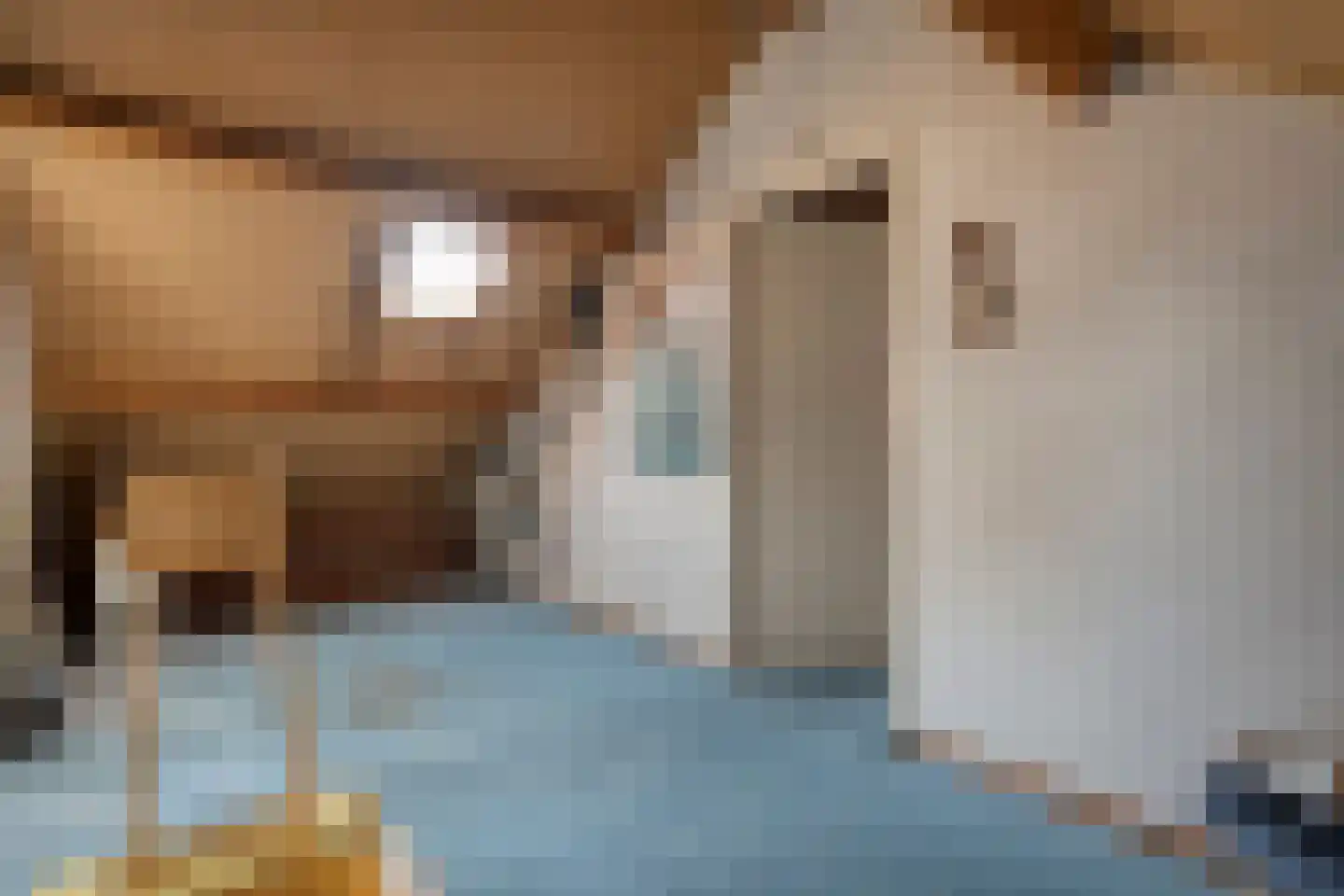Achter de Hoven 13 Dwingeloo thumbnail 28