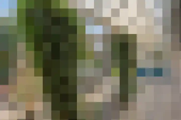 Achter de Hoven 13 Dwingeloo thumbnail 36