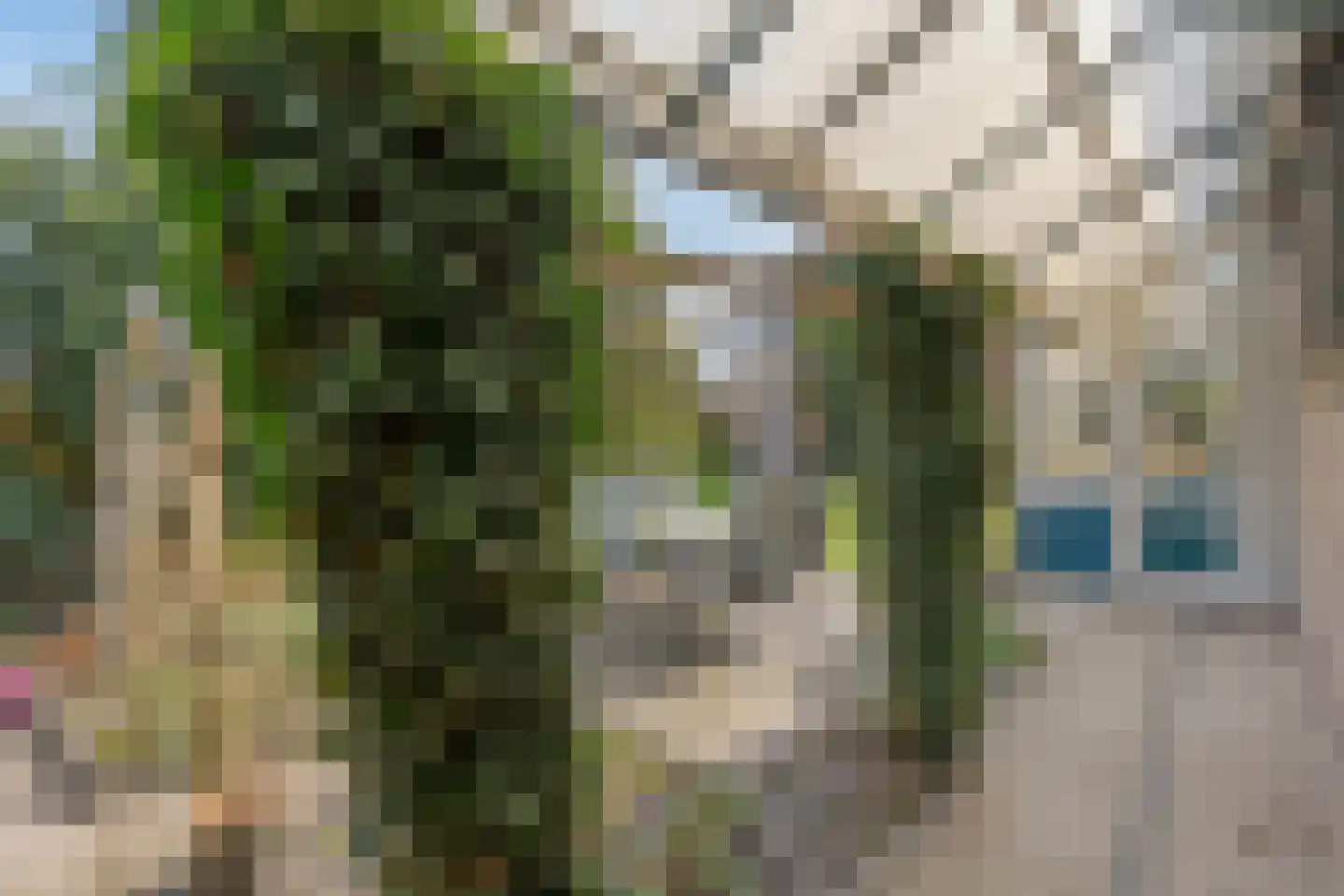 Achter de Hoven 13 Dwingeloo thumbnail 36