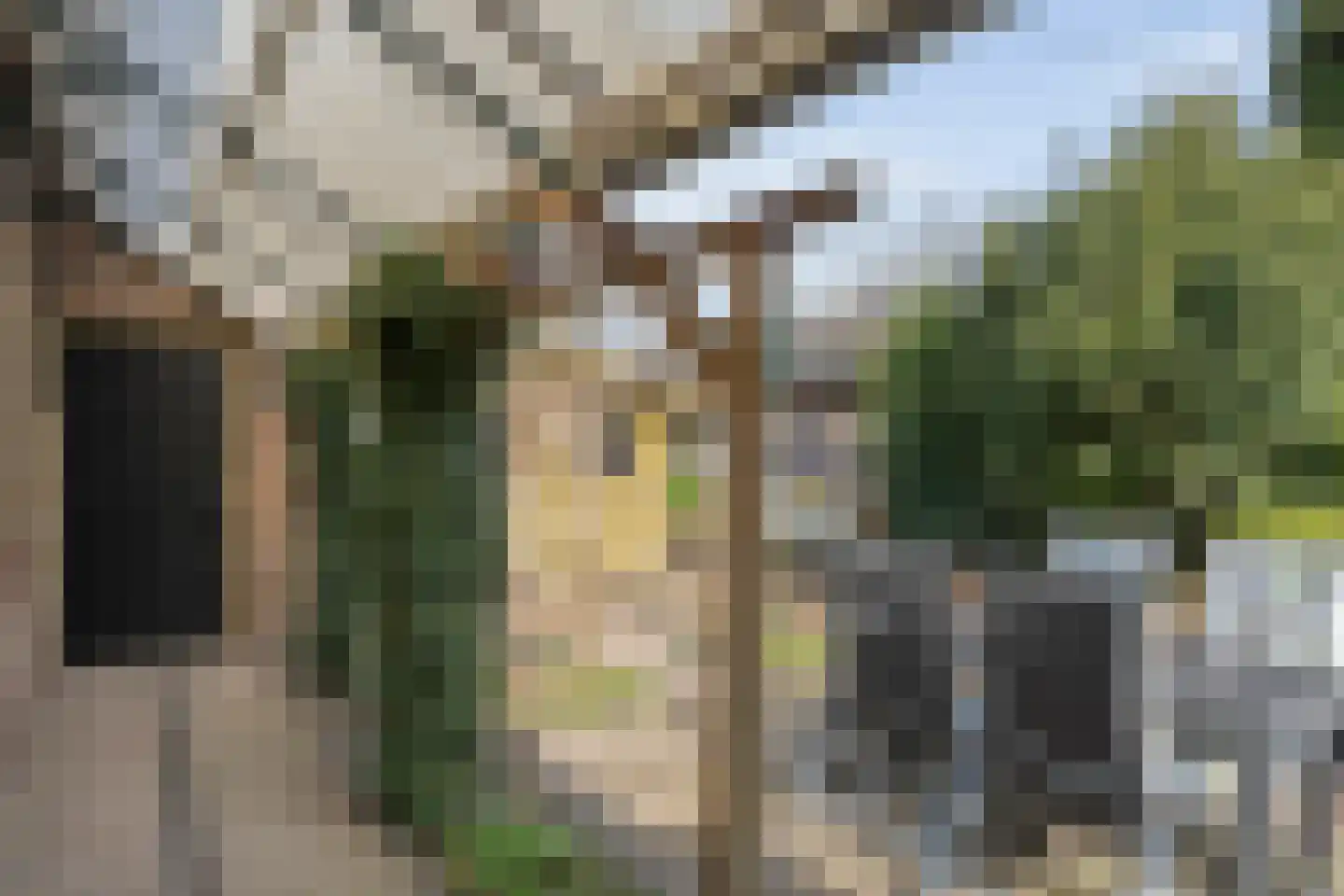 Achter de Hoven 13 Dwingeloo thumbnail 37