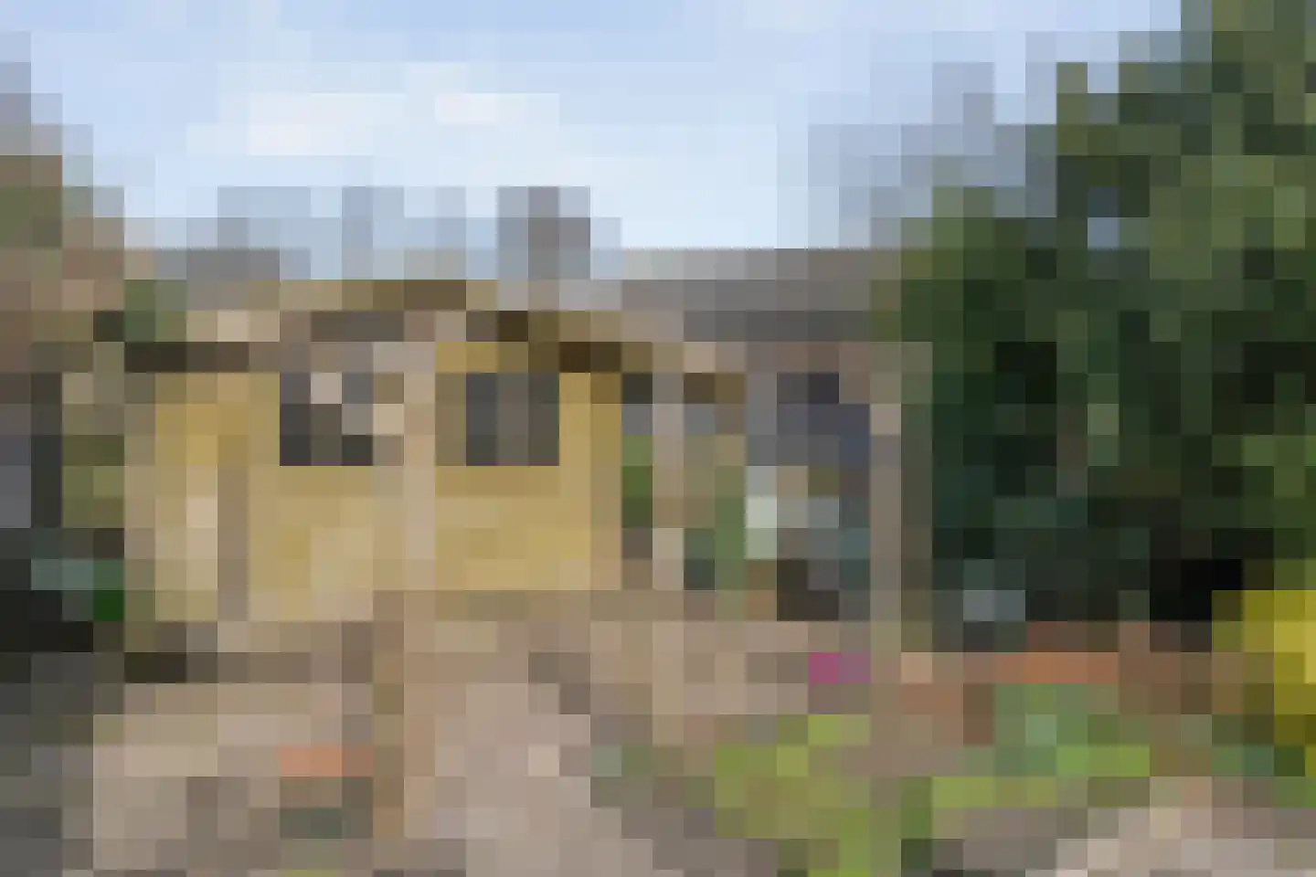 Achter de Hoven 13 Dwingeloo thumbnail 41