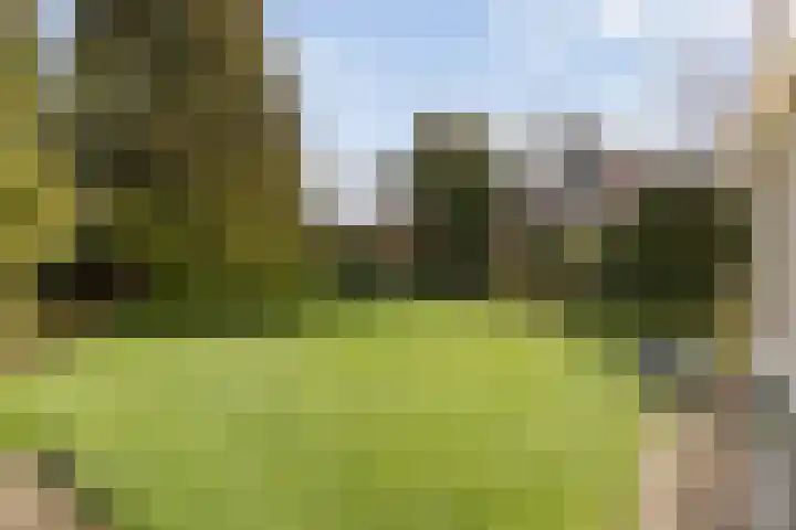 Achter de Hoven 13 Dwingeloo thumbnail 42
