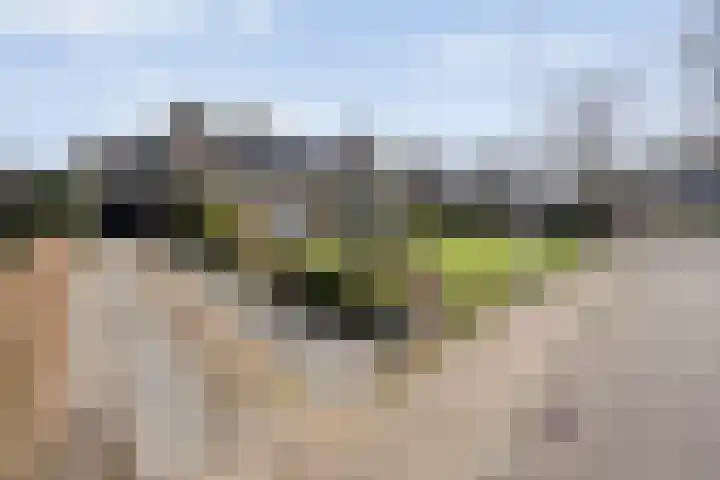 Achter de Hoven 13 Dwingeloo thumbnail 46