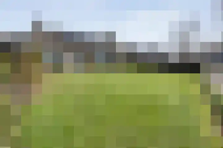 Achter de Hoven 13 Dwingeloo thumbnail 52