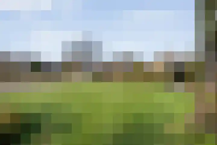 Achter de Hoven 13 Dwingeloo thumbnail 53