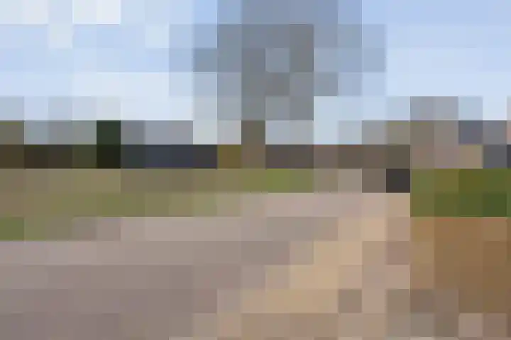 Achter de Hoven 13 Dwingeloo thumbnail 54