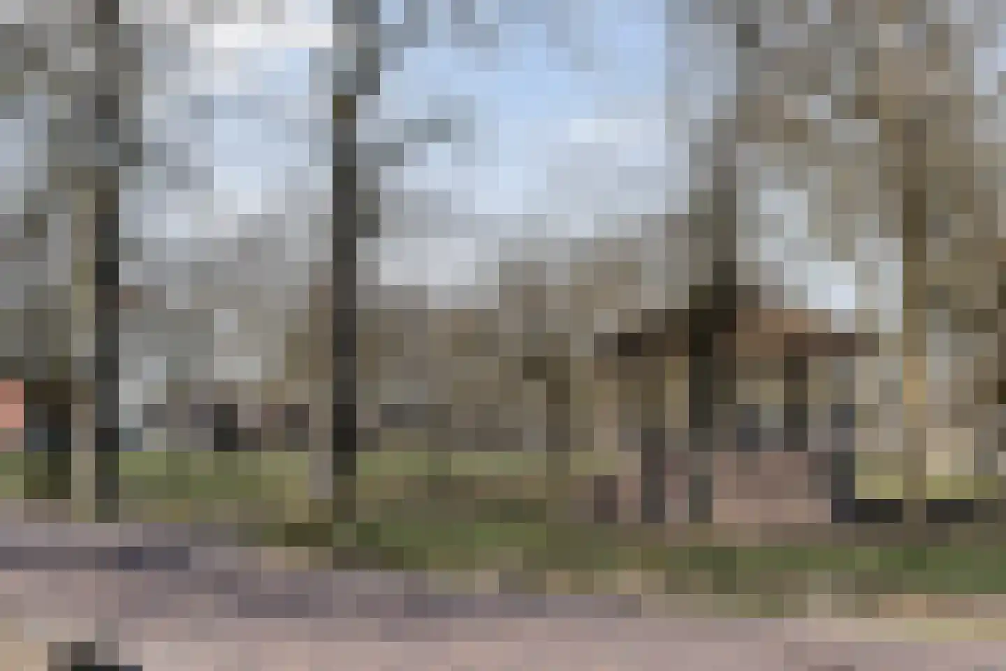 Achter de Hoven 13 Dwingeloo thumbnail 56