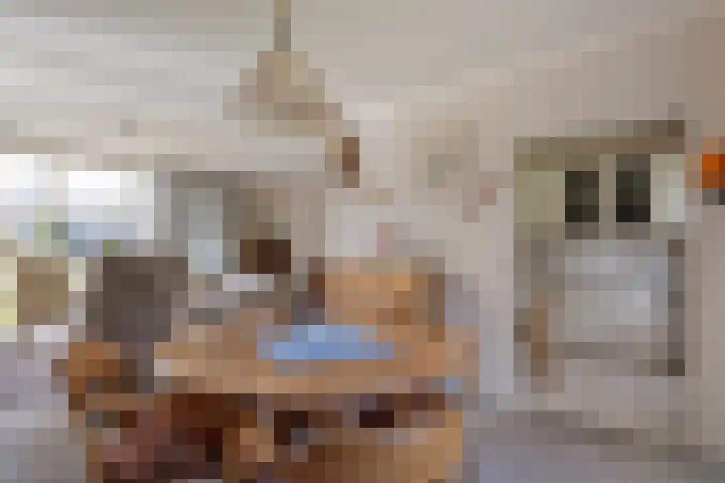 Achter de Hoven 13 Dwingeloo thumbnail 6