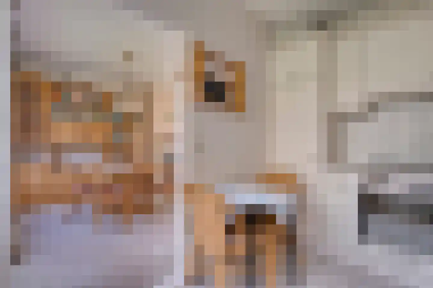 Achter de Hoven 13 Dwingeloo thumbnail 9