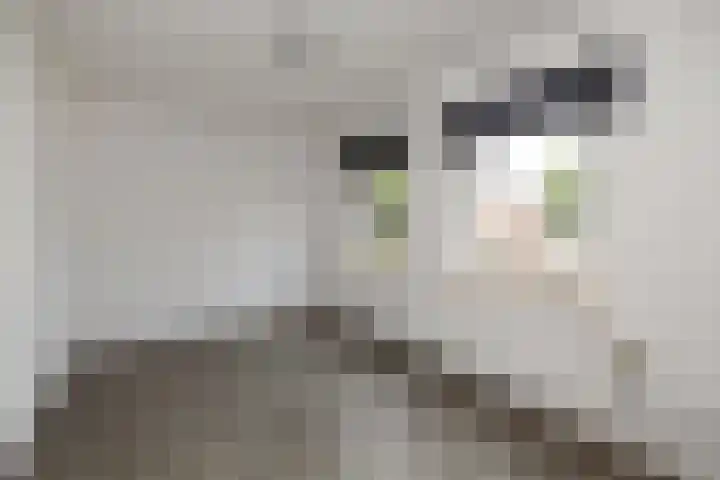 Achter de Hoven 13 Wijhe thumbnail 10