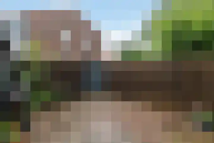 Achter de Hoven 13 Wijhe thumbnail 15