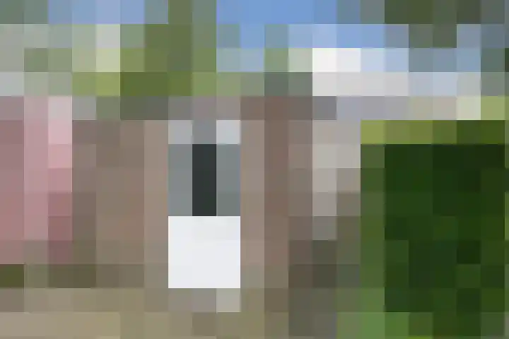 Achter de Hoven 13 Wijhe thumbnail 17