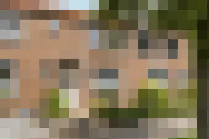Achter de Hoven 13 Wijhe foto 3