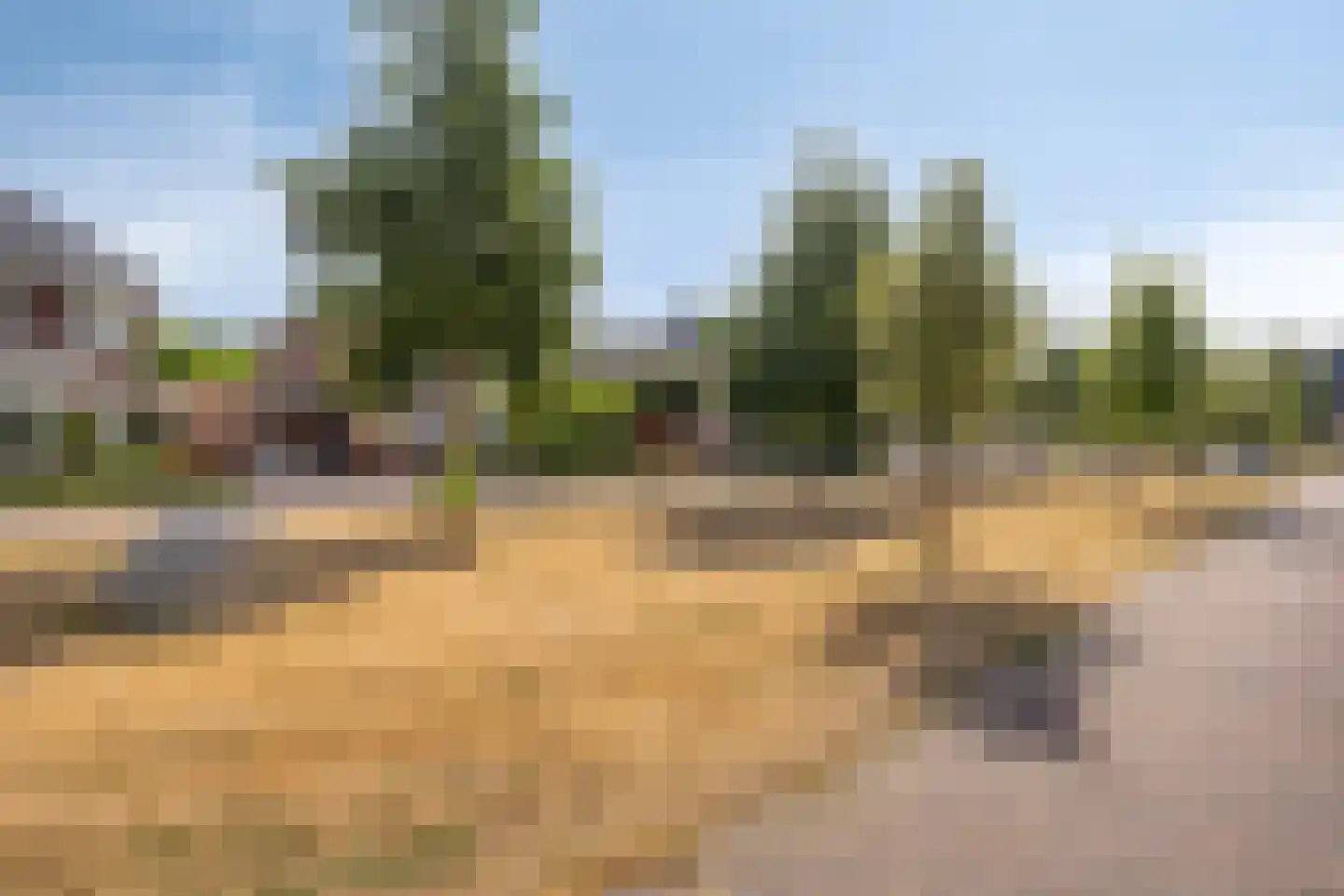 Achter de Hoven 14 Gennep thumbnail 43