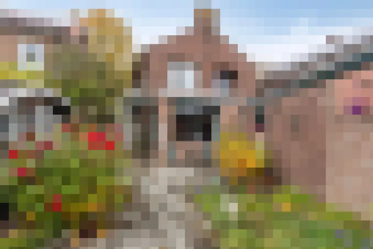 Achter de Hoven 17 Deventer thumbnail 19
