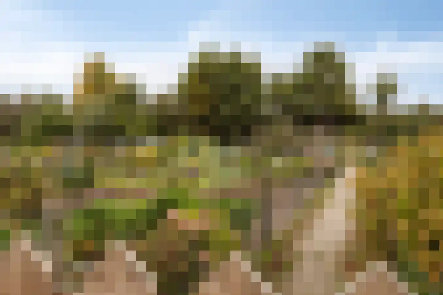Achter de Hoven 17 Deventer thumbnail 26