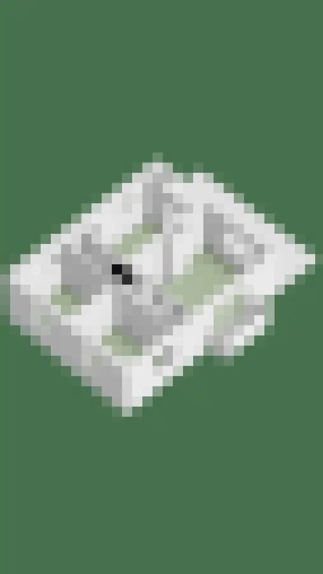 Achter de Hoven 17 Deventer thumbnail 33