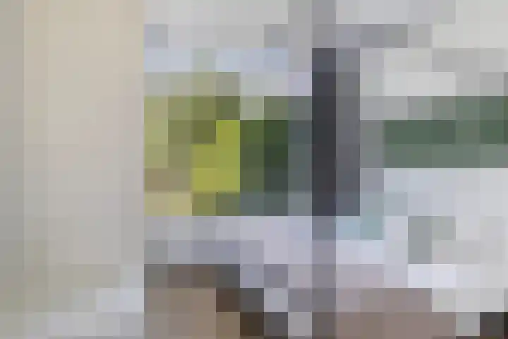 Achter de Hoven 178 Leeuwarden thumbnail 12