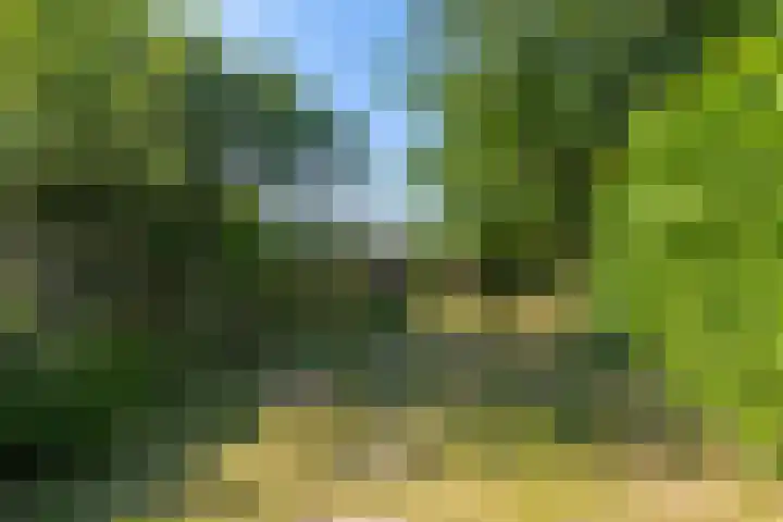 Achter de Hoven 178 Leeuwarden thumbnail 20
