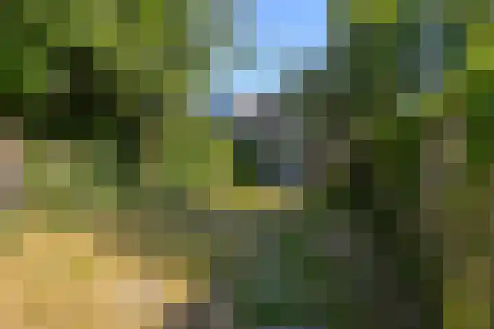 Achter de Hoven 178 Leeuwarden thumbnail 21